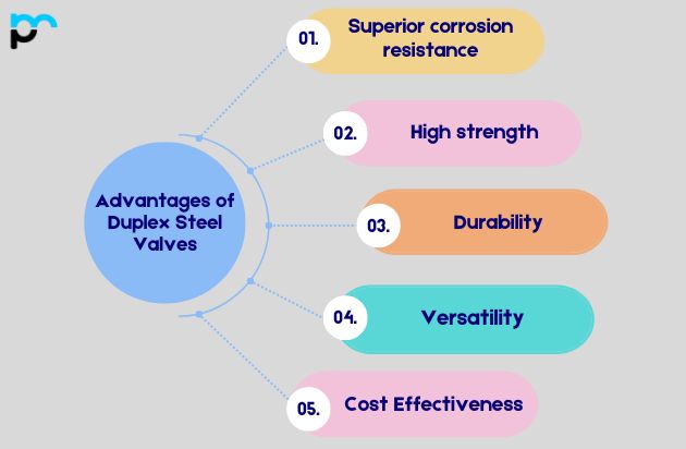 Duplex Steel Valves