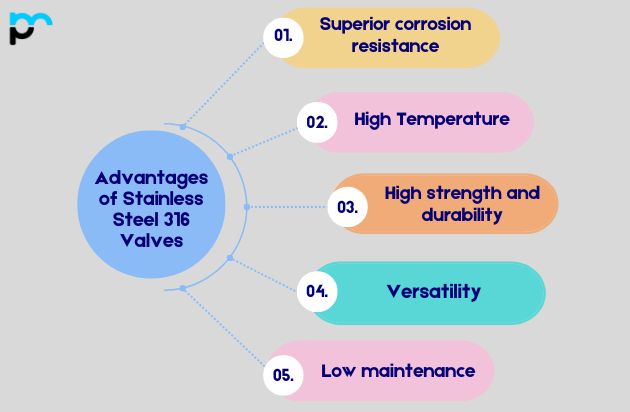 Stainless Steel 316 Valves