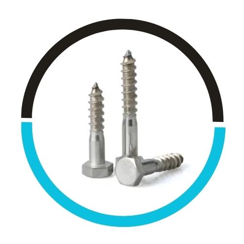 316 Stainless Steel M4 Din 571 Hexagon Head Leg Wood Screws in UAE