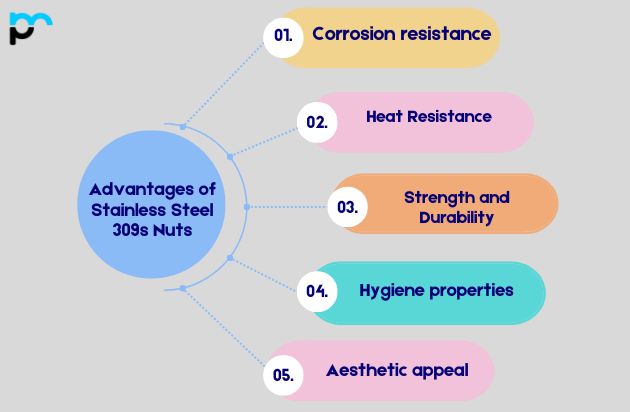 Advantages of Stainless Steel 309s Nuts
