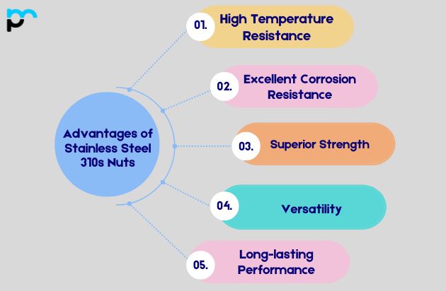 Advantages of Stainless Steel 310s Nuts