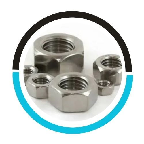 Hastelloy-C22-Nut in UAE
