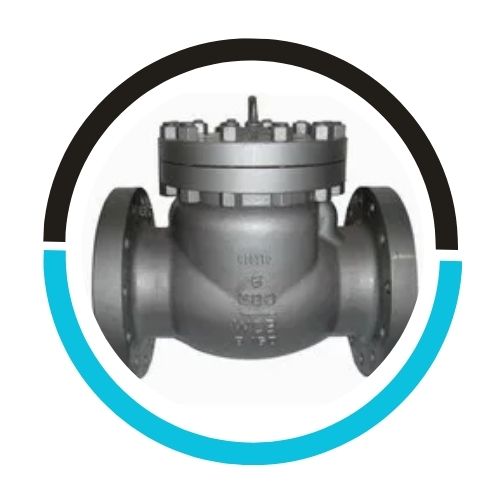 Inline Check Valve in UAE
