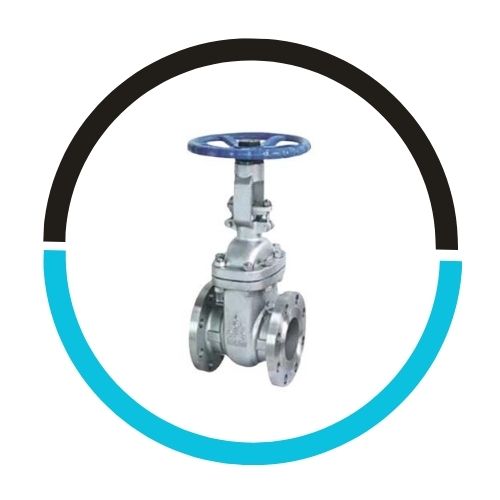 Monel Gate Valve in UAE
