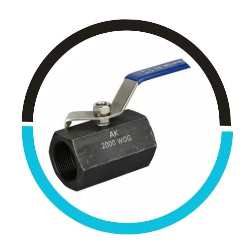 UNS J03002 Check Valve in UAE
